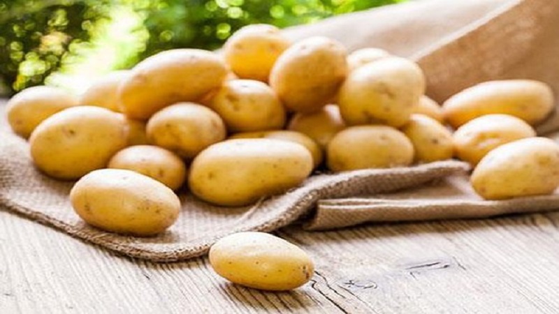 Khoai tây có công dụng rất tốt, hỗ trợ mắt hết bầm hiệu quả