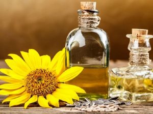 Tinh dầu từ hạt hướng dương rất tốt cho sức khỏe và làn da