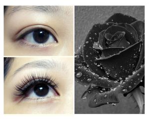 Hình 1 – Mi hoa hồng đen – Vẻ đẹp đôi mi đậm sắc đen xen lẫn sự huyền bí