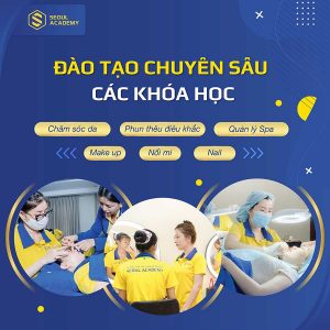 Chương trình đào tạo chất lượng