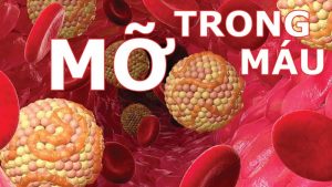 Dư thừa mỡ có thể gây ra những căn bệnh nguy hiểm trong cơ thể