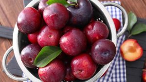 Mận thường được trồng ở những vùng có nhiệt độ thấp