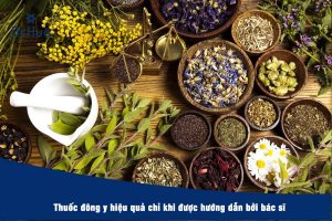 Thuốc đông y được sử dụng trong điều trị mụn rất nhiều