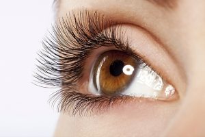 Cần khảo sát mục đích nối mi dưới của khách hàng