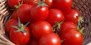 Cà chua là thực phẩm quen thuộc mà bạn có thể thêm vào thực đơn giảm cân