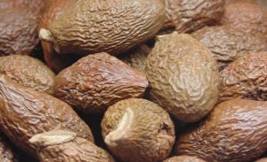 Hạt ươi có nhiều tác dụng cho cơ thể con người