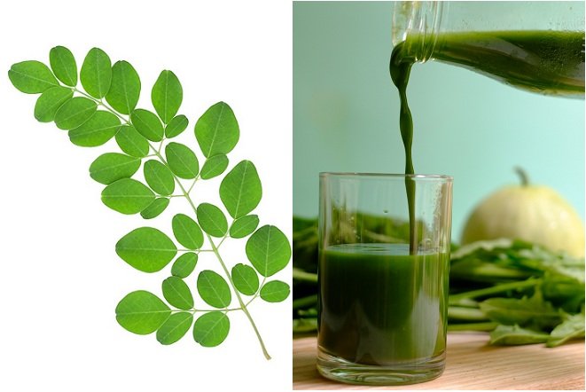 Uống chùm ngây mang đến nhiều công dụng cho sức khỏe như ổn định huyết áp