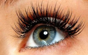 Cấy mi là phương pháp làm đẹp cho dài lâu, giúp mi thật phát triển dài, dày, đẹp hoàn hảo