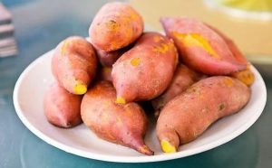 Khoai lang chứa hàm lượng lớn chất xơ và nước