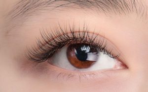 Dụng cụ uốn mi collagen