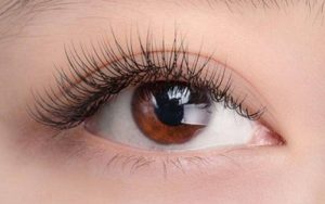 Lông mi dài và đều ở phần giữa mắt