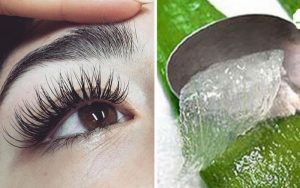 Các dưỡng chất có trong nha đam cực kỳ tốt cho lông mi