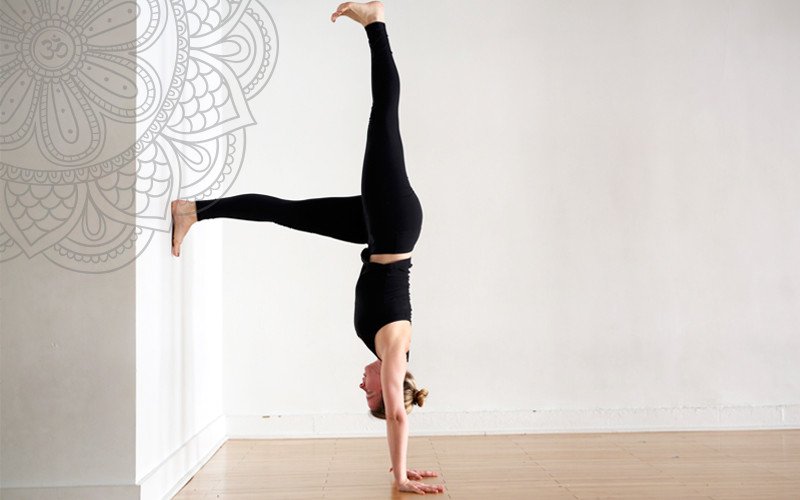 Trồng cây chuối có tác dụng kích thích rèn luyện sự tập trung cho người tập