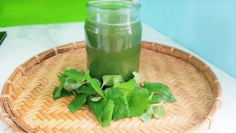 Thêm rau diếp cá vào thực đơn để giúp kháng khuẩn