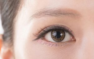 Mắt 2 mí, to, tròn chính là đặc điểm nổi bật của mắt bồ câu