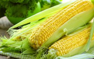 Bắp có nhiều chất dinh dưỡng có lợi cho cơ thể