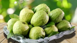 Trong quả ổi có chứa các thành phần dinh dưỡng đa dạng