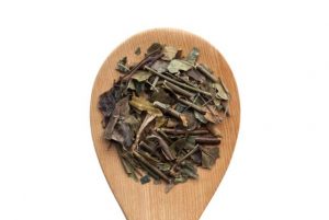 Chè vằng giảm cân có nhiều công dụng đối với sức khỏe