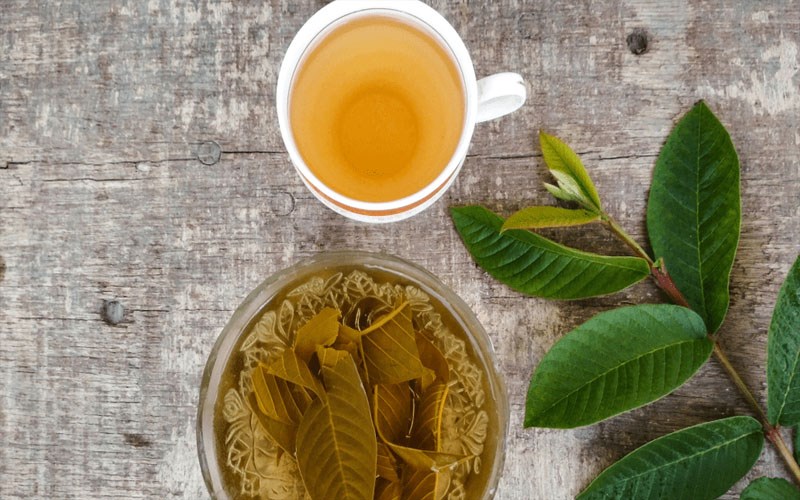 Sử dụng nước lá ổi thay cho thức uống nhiều đường có thể giúp bạn giảm cân