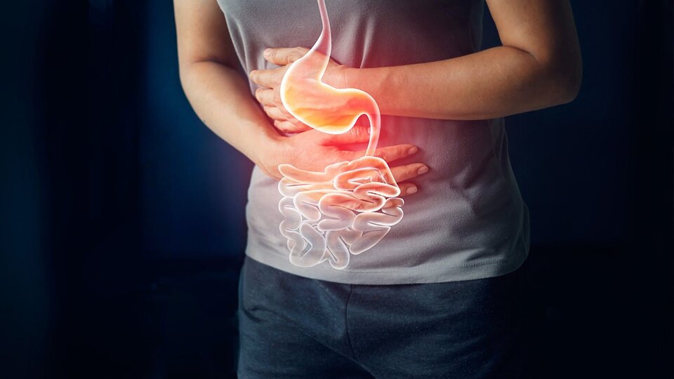 Những người có bệnh về hệ tiêu hoá nên hạn chế ăn lê để giảm cân