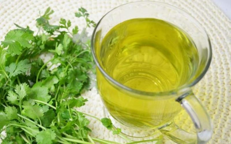 Cách giảm cân bằng trà rau mùi đơn giản và hiệu quả
