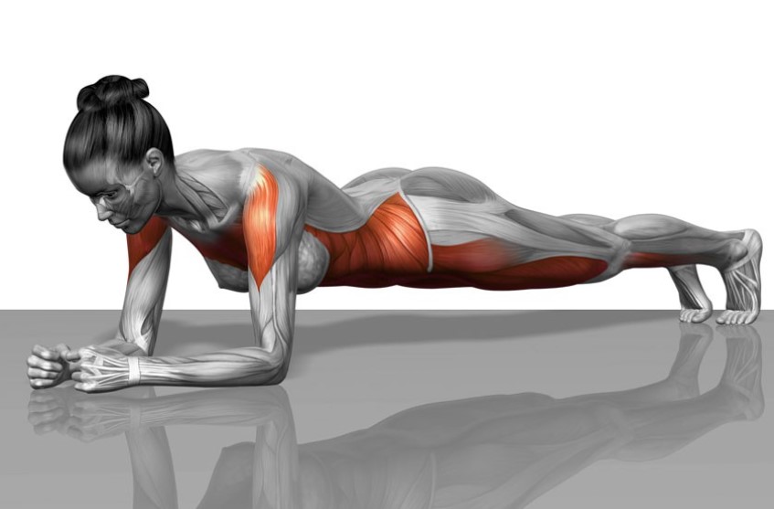 Plank là một dạng chống đẩy tác động rất nhiều tới cơ bụng