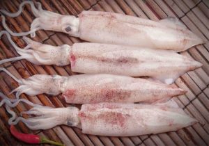 Cắt mí xong có được ăn mực không là thắc mắc của rất nhiều người