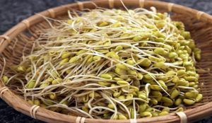 Ăn giá đỗ hỗ trợ tiêu hóa, giảm cân và làm sáng mắt