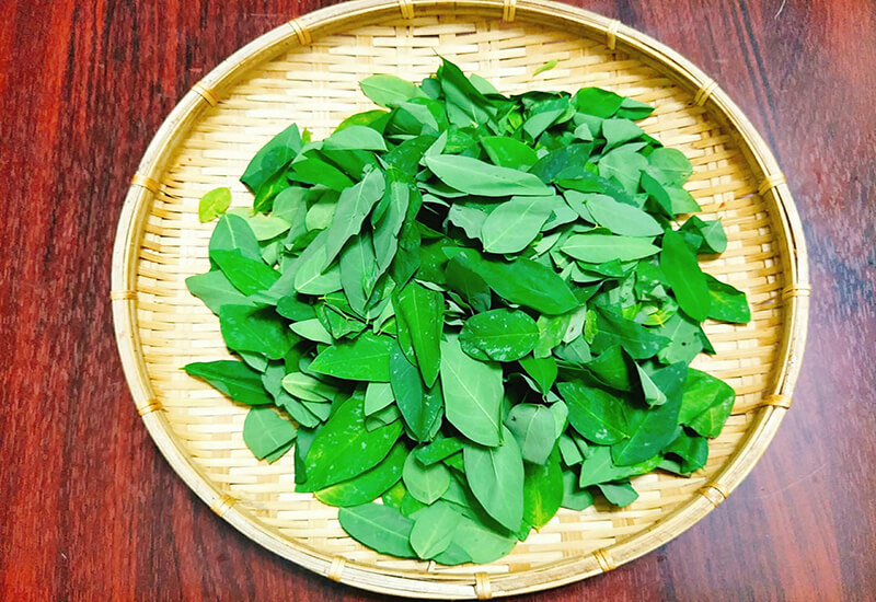 Rau ngót là loại rau có hàm lượng dinh dưỡng cao, dễ chế biến