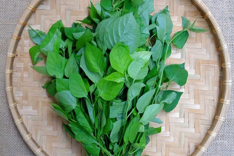 Bạn có thể ăn rau ngót trong giai đoạn hậu phẫu sau cắt mí
