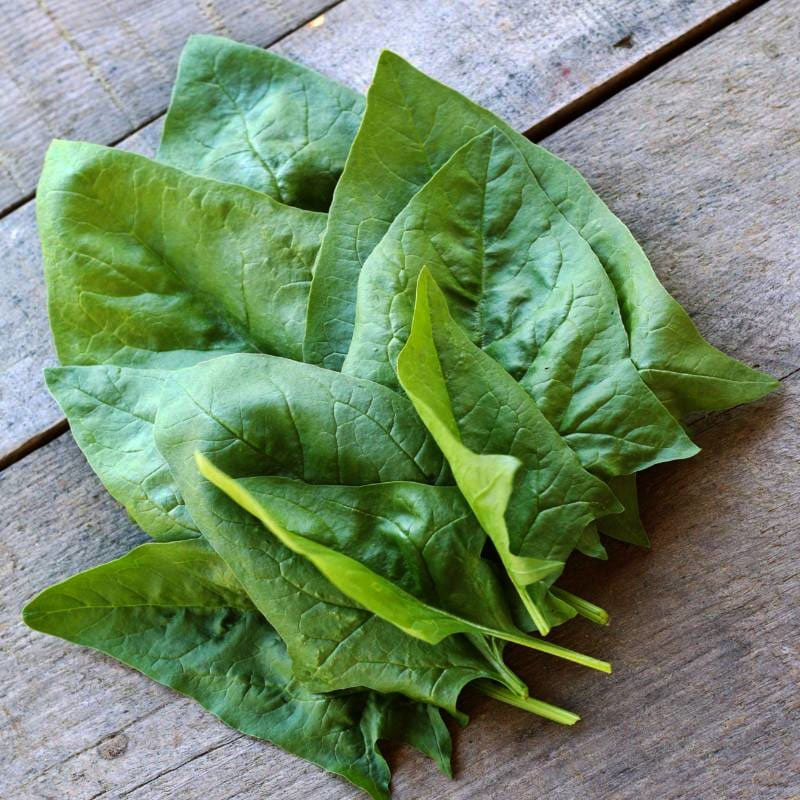 Cải bó xôi chứa lượng vitamin C lớn