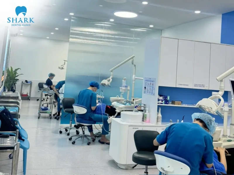 Shark Dental Clinic offers orthodontic services at reasonable prices