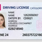 Tải ngay 600 câu hỏi lý thuyết B1 – Tổng hợp mới nhất