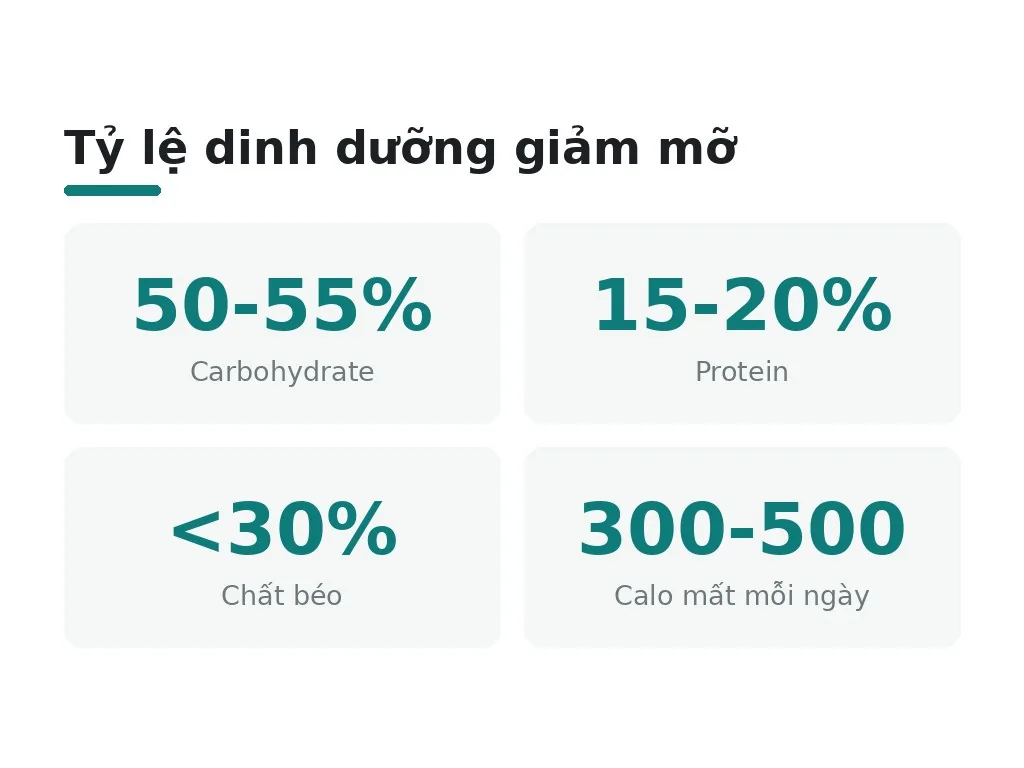 Nguyên tắc cơ bản để giảm mỡ bụng khoa học là gì?