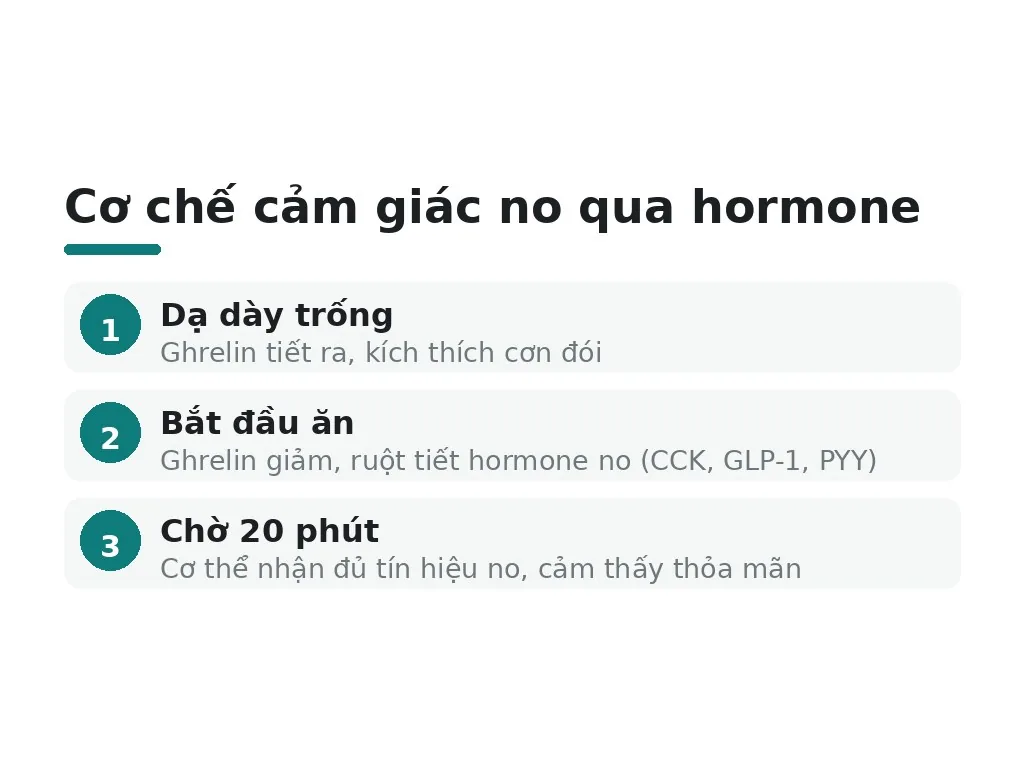 Cơ chế cảm giác no và hormone kiểm soát cơn đói