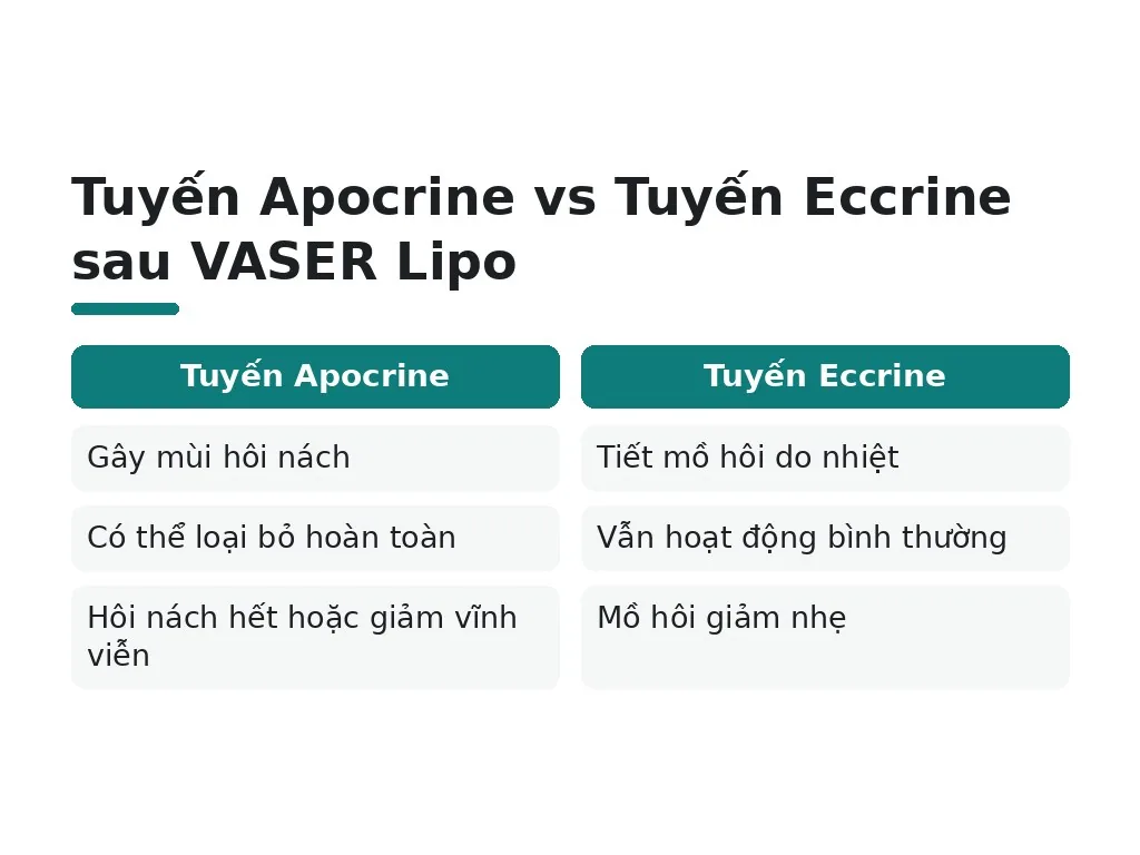 Những hiểu lầm phổ biến về VASER Lipo là gì?
