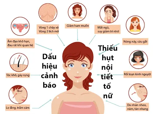 Dấu hiệu rối loạn nội tiết nữ xuất phát từ đâu?