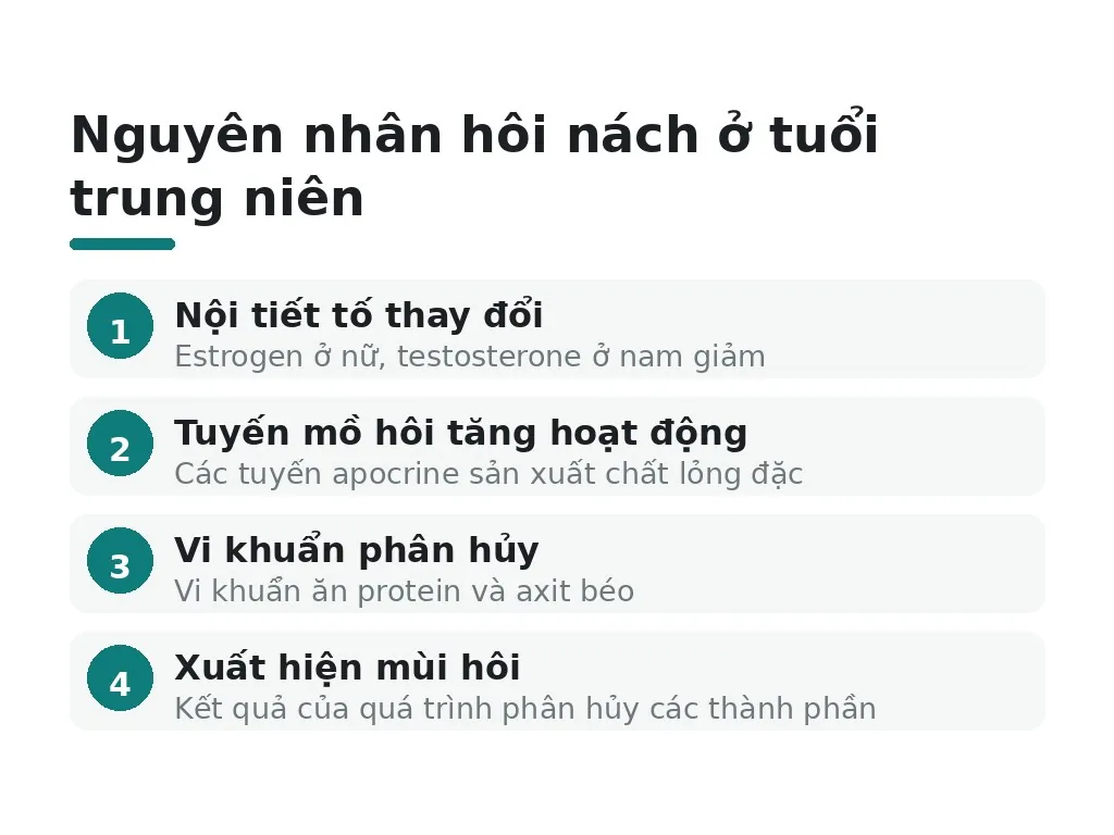 Vì sao tuổi trung niên bị hôi nách tăng lên?