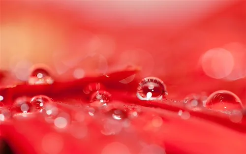 cách trị rạn da sau sinh