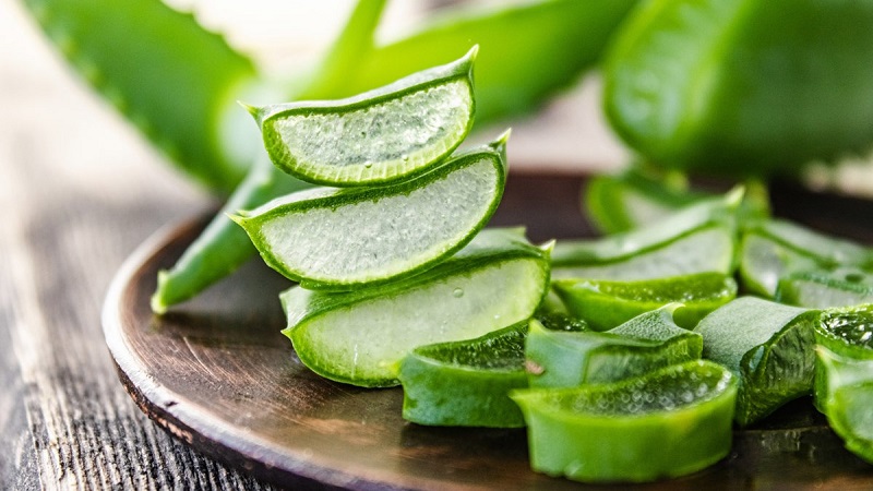 Chất gel trong nha đam có tác dụng giảm sưng hiệu quả