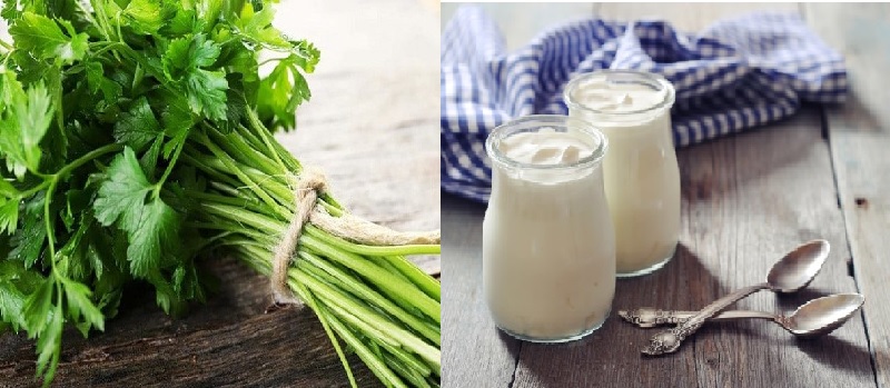 Sữa chua và lá mùi tây khi kết hợp với nhau có tác dụng giảm sưng hiệu quả