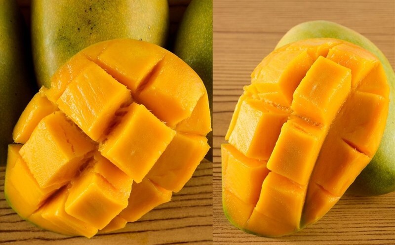 Xoài rất ngọt, chứa nhiều đường và có tính nóng nếu sẽ không tốt cho sự phục hồi của vết thương