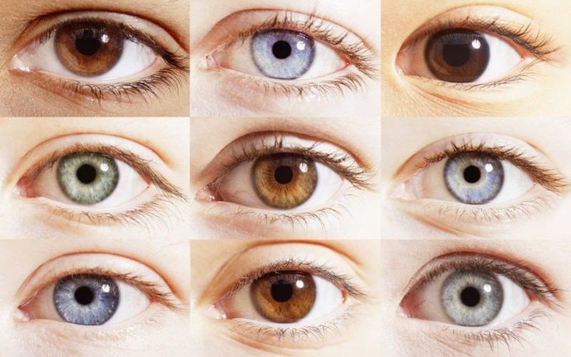 Tìm hiểu về các màu mắt phổ biến trên thế giới
