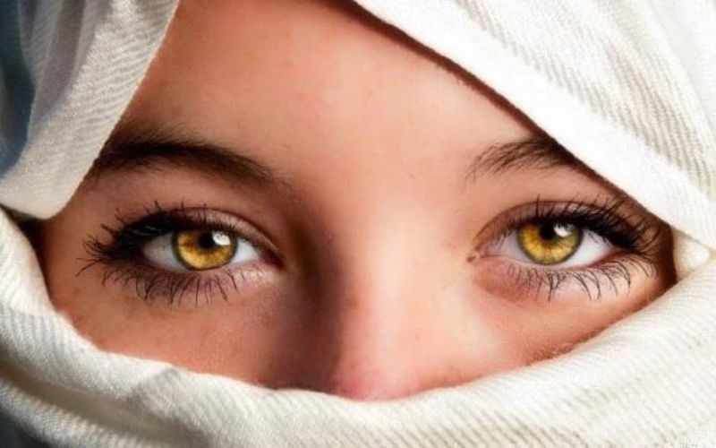Mắt màu hổ phách có sự pha trộn giữa màu vàng và màu nâu đỏ
