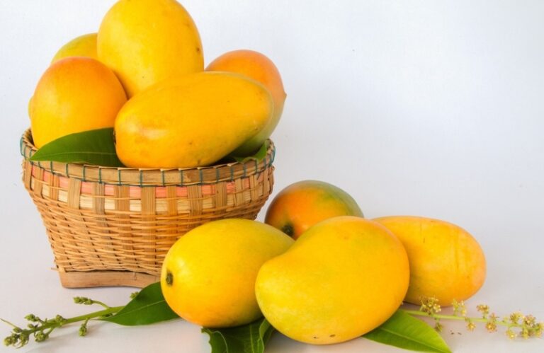 Xoài giúp hỗ trợ tiêu hóa tốt, giảm cân, đẹp da