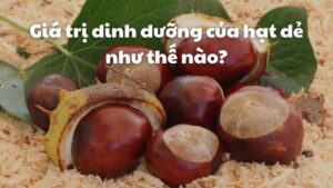 Hạt dẻ là loại hạt chứa nhiều thành phần dinh dưỡng có lợi cho cơ thể