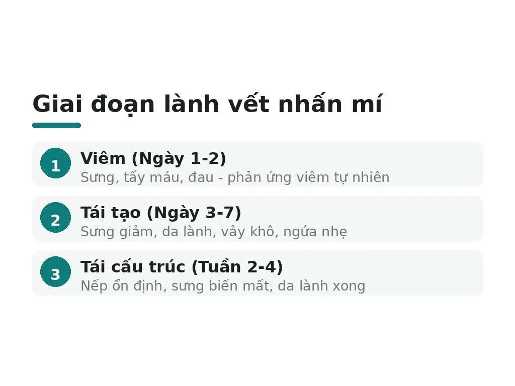 Vết nhấn mí trải qua những giai đoạn lành nào?