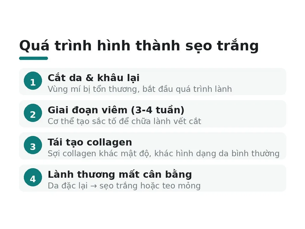 Quá trình hình thành sẹo trắng