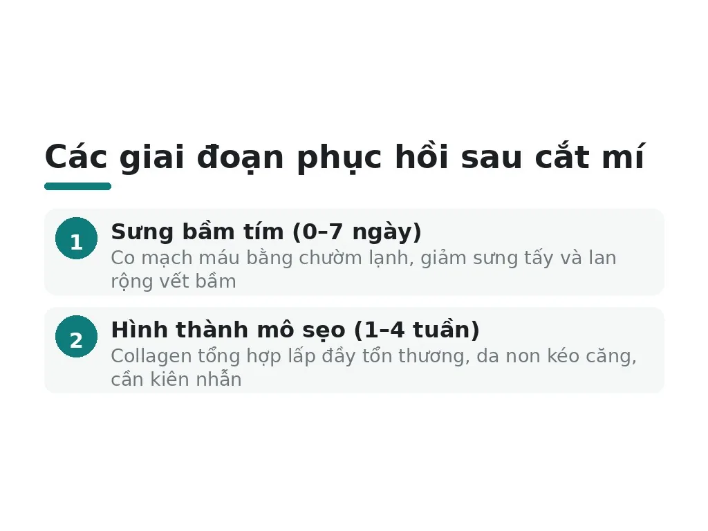 Hiểu đúng về các giai đoạn phục hồi để chọn đúng cách chăm sóc mí mắt sau khi cắt mí