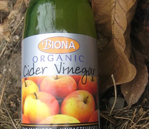 apple cider vinegar weight loss